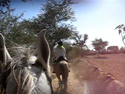 horse riding holidays trails